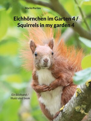 cover image of Eichhörnchen im Garten 4 / Squirrels in my garden 4
